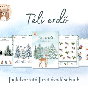 Téli erdő foglalkoztató füzet, Játék & Sport, Készségfejlesztő és Logikai játék, Oktató játékok, Fotó, grafika, rajz, illusztráció, MESKA