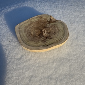 Fa korong alap, Kellékek & szerszámok, Hobby fa alapanyag, Fakorong, Famegmunkálás, MESKA