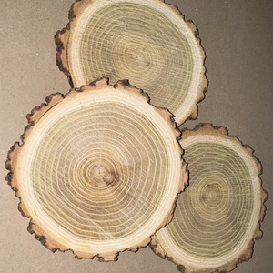 Fa korong - dekorációs alap, Kellékek & szerszámok, Hobby fa alapanyag, Fakorong, , MESKA
