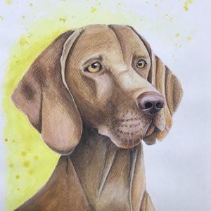 Magyar vizsla , Művészet, Festmény, Akvarell, Festészet, MESKA