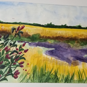 Csipkerózsa - művészet - festmény - akvarell - Meska.hu