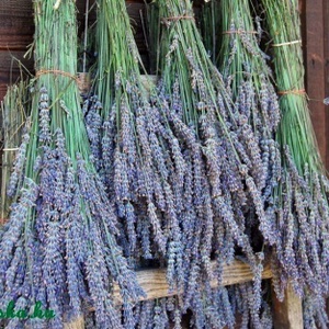 SZÁRÍTOTT LEVENDULA SZÁR és VIRÁG, 30 gramm, organza tasakban - kellékek & szerszámok - vegyes alapanyag - Meska.hu