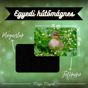 Egyedi Cuki Állatos Hűtőmágnes  15  10 cm, Otthon & Életmód, Konyhafelszerelés, tálalás, Konyhai dekoráció, Hűtőmágnes, Fotó, grafika, rajz, illusztráció, Mindenmás, MESKA