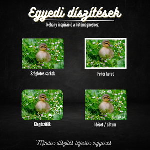 Egyedi Cuki Állatos Hűtőmágnes  15  10 cm - otthon & életmód - konyhafelszerelés, tálalás - konyhai dekoráció - hűtőmágnes - Meska.hu