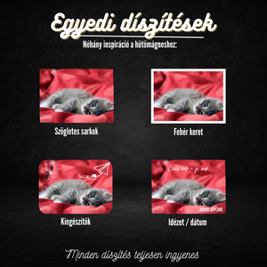 Egyedi Cicás Hűtőmágnes  7,5  5 cm - otthon & életmód - konyhafelszerelés, tálalás - konyhai dekoráció - hűtőmágnes - Meska.hu