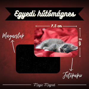 Egyedi Cicás Hűtőmágnes  7,5  5 cm, Otthon & Életmód, Konyhafelszerelés, tálalás, Konyhai dekoráció, Hűtőmágnes, Fotó, grafika, rajz, illusztráció, Mindenmás, MESKA