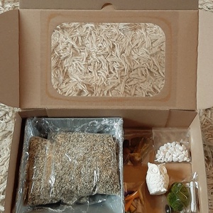 Bagolykert DIY csomag - diy (csináld magad) - egységcsomag - Meska.hu