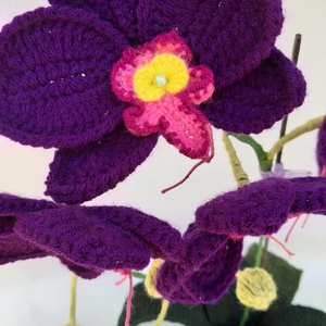 Lila orchidea -  - Meska.hu