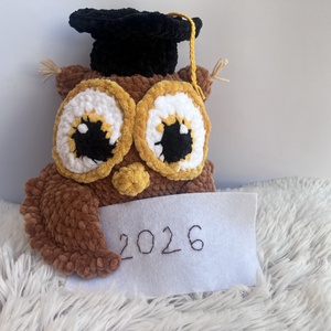Horgolt bagoly diplomával - játék & sport - plüssállat & játékfigura - bagoly - Meska.hu