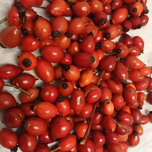  Csipkebogyó-lekvár - élelmiszer - lekvár - Meska.hu