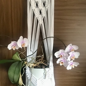 Virágtartó, makramé, fehér, Otthon & Életmód, Dekoráció, Virágdísz és tartó, Virágtartó, Csomózás, MESKA