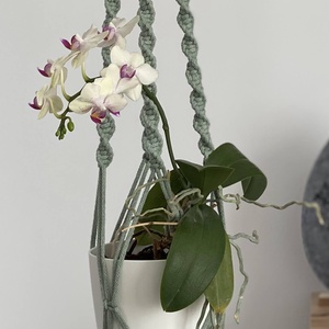 Virágtartó, makramé, almazöld színű - Meska.hu