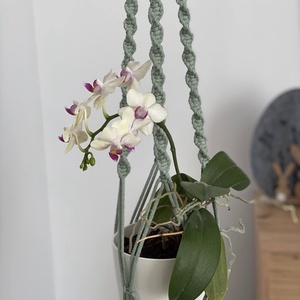 Virágtartó, makramé, almazöld színű - otthon & életmód - virágdekoráció - virágtartó - függő virágtartó - Meska.hu