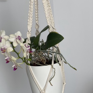 Virágtartó, makramé, krémszínű - otthon & életmód - virágdekoráció - virágtartó - függő virágtartó - Meska.hu