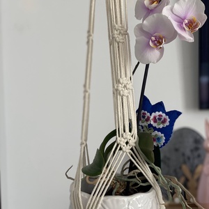 Virágtartó, makramé, krémszínű - otthon & életmód - virágdekoráció - virágtartó - függő virágtartó - Meska.hu