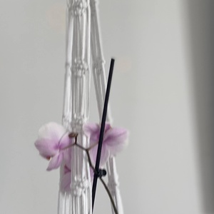 Virágtartó, makramé, fehér színű - otthon & életmód - virágdekoráció - virágtartó - függő virágtartó - Meska.hu