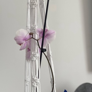 Virágtartó, makramé, fehér színű - otthon & életmód - virágdekoráció - virágtartó - függő virágtartó - Meska.hu