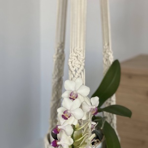 Virágtartó, makramé, világos bézs - otthon & életmód - virágdekoráció - virágtartó - függő virágtartó - Meska.hu