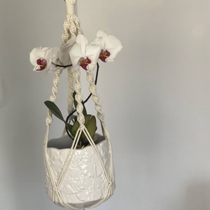 MAMdesign