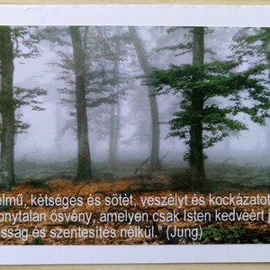 3 kinyitható képeslap saját fotóval - köd, fák, kilincs -  - Meska.hu