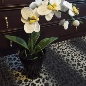 Horgolt orchidea, Otthon & Lakás, Dekoráció, Virágdísz és tartó, Csokor & Virágdísz, Horgolás, MESKA