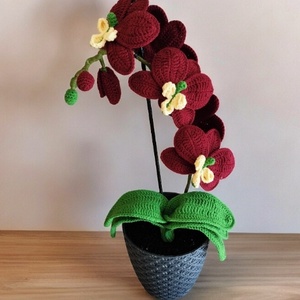 Horgolt orchidea, Otthon & Életmód, Dekoráció, Virágdísz és tartó, Csokor & Virágdísz, Horgolás, A horgolt orchidea tökéletes dísze lehet bármely lakásnak. Olyan hölgyeknek is ajánlott, akik szere..., MESKA