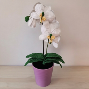 Horgolt orchidea - otthon & életmód - dekoráció - virágdísz és tartó - csokor & virágdísz - Meska.hu