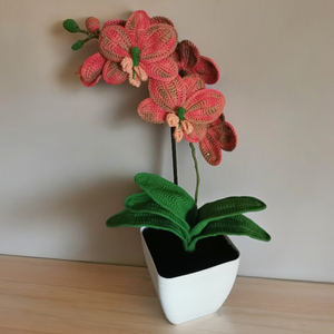 Horgolt orchidea - otthon & életmód - dekoráció - virágdísz és tartó - csokor & virágdísz - Meska.hu