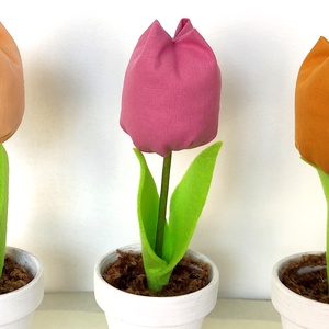 Cserepes tulipán, több színben, Otthon & Lakás, Dekoráció, Virágdísz és tartó, Csokor & Virágdísz, Mindenmás, MESKA