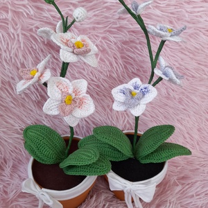 Horgolt Orchidea - otthon & életmód - dekoráció - virágdísz és tartó - csokor & virágdísz - Meska.hu