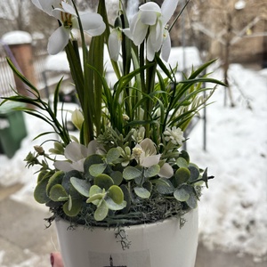 Hóvirágos asztaldísz , Otthon & Életmód, Dekoráció, Virágdísz és tartó, Virágdíszek, Virágdísz kaspóban, , MESKA