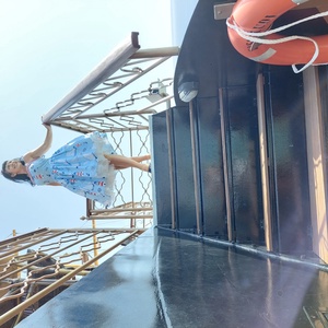 Pinup Rockabilly ruha vitorlás,  sirály mintás,  tengeres - ruha & divat - női ruha - ruha - Meska.hu