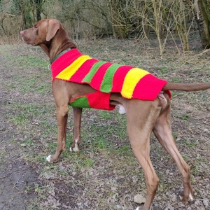 Egyedi, méretre kötött kutyaruha nagy- és kistestű kutyáknak � próbával, garanciával., Otthon & Életmód, Kisállatoknak, Kutyáknak, Kutya ruházat, Kötés, Varrás, MESKA