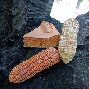 Dekor kukorica , Kellékek & szerszámok, Dekorációs kellékek, , MESKA