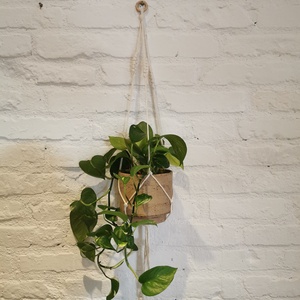 Makramé növénytartó, Táska & Tok, Kulcstartó & Táskadísz, Kulcstartó, Csomózás, MESKA