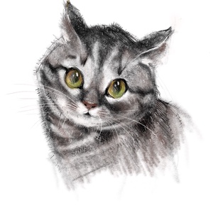 Macska kutya kisállat állat portré - művészet - grafika & illusztráció - digitális - Meska.hu