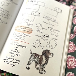 Rajzolj velem állatokat! könyv gyerekkönyv foglalkoztató könyv verses - könyv & zene - könyv - Meska.hu