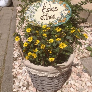IDE JÓ HAZATÉRNI! - Leszúrható tűzzománc tábla -  - Meska.hu