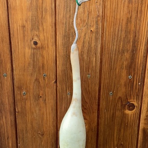 Lopótök dekoratív dísztök 35 cm kiszárított lopótök lopó tök, Kellékek & szerszámok, Dekorációs kellékek, Őszi dekor, Őszi dekortök, Virágkötés, Mindenmás, MESKA