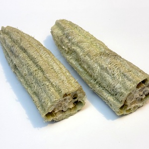 Luffatök 20 cm - luffa szivacstök szivacs tök - natúr, Kellékek & szerszámok, Dekorációs kellékek, Termések, terméscsomagok, , MESKA