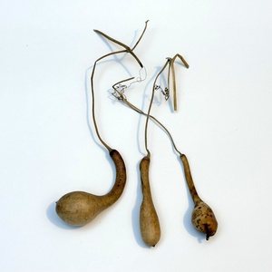 Pici lopótök 3 db együtt - kiszárított dekoráció lopó tök - Meska.hu