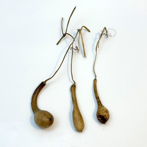 Pici lopótök 3 db együtt - kiszárított dekoráció lopó tök - kellékek & szerszámok - dekorációs kellékek - termések, terméscsomagok - Meska.hu