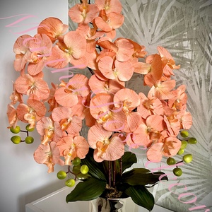 Barack színű orchidea kaspóban - otthon & életmód - virágdekoráció - virágdíszek - virágdísz kaspóban - Meska.hu