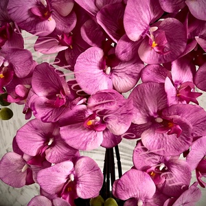 Magenta színű orchidea kaspóban - otthon & életmód - virágdekoráció - virágdíszek - virágdísz kaspóban - Meska.hu