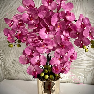 Magenta színű orchidea kaspóban, Otthon & Életmód, Virágdekoráció, Virágdíszek, Virágdísz kaspóban, , MESKA