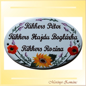 Tűzzománc házszám táblák., Otthon & Lakás, Ház & Kert, Házszám, Tűzzománc, Festett tárgyak, Meska