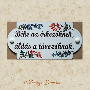 Tűzzománc névtábla., Otthon & Életmód, Ház & Kert, Névtábla, Tűzzománc, Festett tárgyak, MESKA