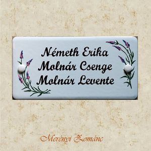 Tűzzománc névtábla., Otthon & Életmód, Ház & Kert, Névtábla, Tűzzománc, Festett tárgyak, MESKA