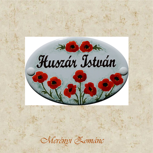 Tűzzománc névtábla., Otthon & Életmód, Ház & Kert, Névtábla, Tűzzománc, Festett tárgyak, MESKA