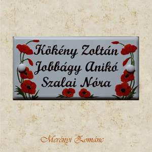 Tűzzománc névtábla., Otthon & Életmód, Ház & Kert, Névtábla, Tűzzománc, Festett tárgyak, MESKA